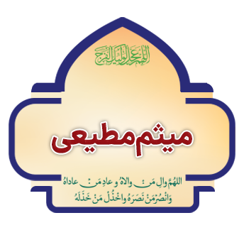 meysam copy